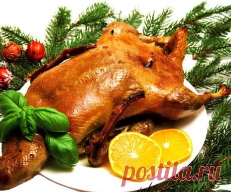 Рождественский гусь: 9 праздничных рецептов |