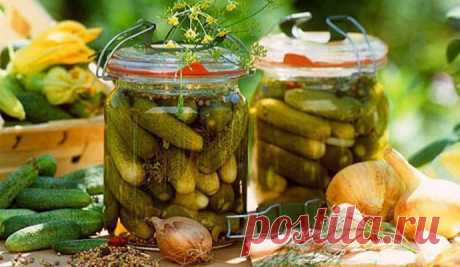 Сладкие маринованные огурчики - 1000