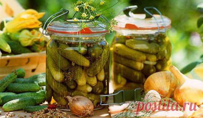 Сладкие маринованные огурчики - 1000
