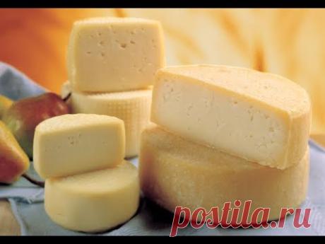 Варю российский сыр из козьего молока.
