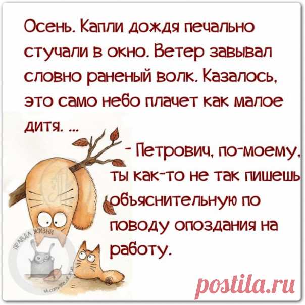 Прикольные фразочки в картинках
