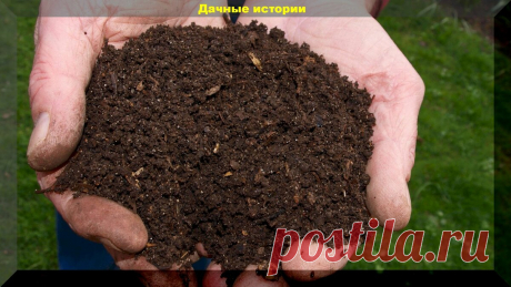 Как я готовлю органические удобрения. Письмо нашего читателя. | Дачные истории | Яндекс Дзен