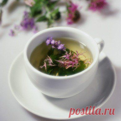 Компресс Травяной для ресниц