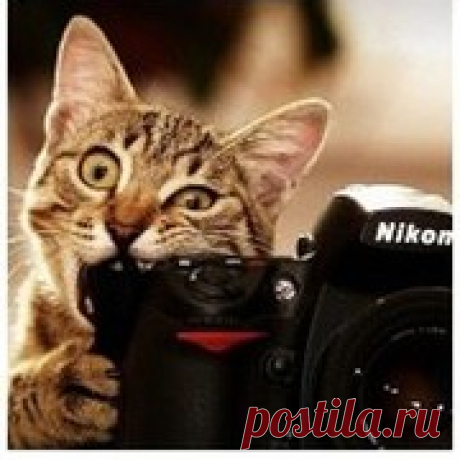 Мой Мир@Mail.Ru