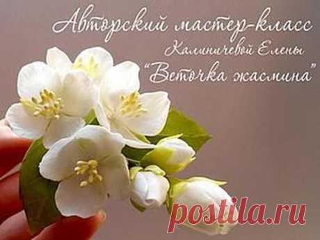 (387) Pinterest