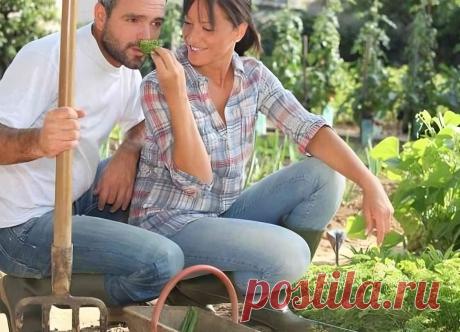 Другая
Подозрения Валентины начались с того, что Борис неожиданно попросил у неё денег. Раньше никогда такого не случалось, чтобы у её мужа не было денег, наоборот, это она у него частенько просила дополнительных средств на хозяйственные нужды. Боря с молодых лет считался добытчиком и, благодаря ему, семья смогла благополучно пережить и трудные годы, и разбогатеть в более благополучное время. А тут странная просьба: