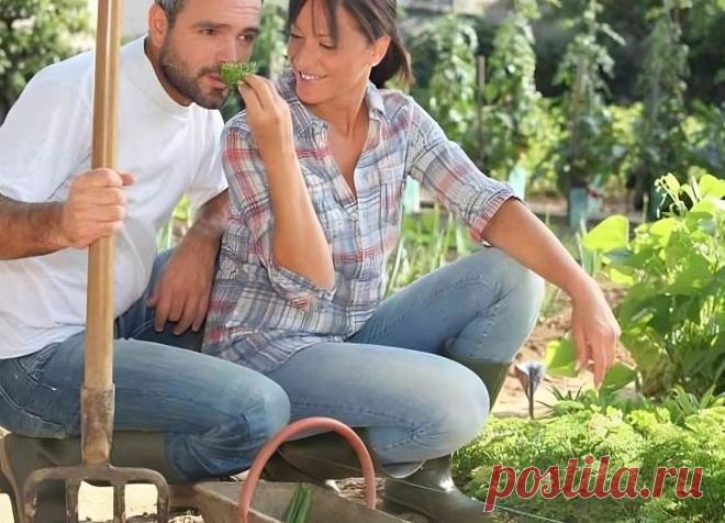 Другая
Подозрения Валентины начались с того, что Борис неожиданно попросил у неё денег. Раньше никогда такого не случалось, чтобы у её мужа не было денег, наоборот, это она у него частенько просила дополнительных средств на хозяйственные нужды. Боря с молодых лет считался добытчиком и, благодаря ему, семья смогла благополучно пережить и трудные годы, и разбогатеть в более благополучное время. А тут странная просьба: