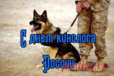 Сотрудникам кинологической службы
Желаем с питомцами крепкой дружбы!
С полуслова друг друга, чтоб понимали,
Преступникам спуску нигде не давали!