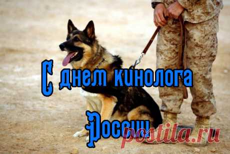 Сотрудникам кинологической службы
Желаем с питомцами крепкой дружбы!
С полуслова друг друга, чтоб понимали,
Преступникам спуску нигде не давали!