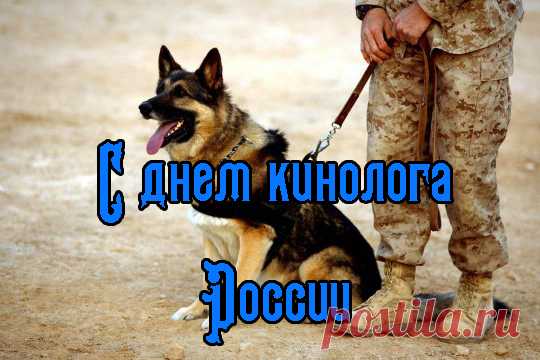 Сотрудникам кинологической службы
Желаем с питомцами крепкой дружбы!
С полуслова друг друга, чтоб понимали,
Преступникам спуску нигде не давали!