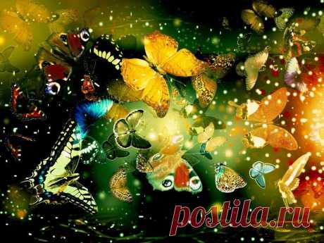 (52) Facebook