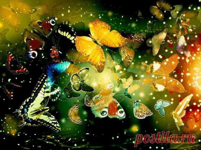 (52) Facebook