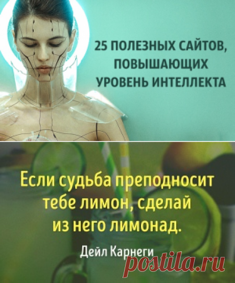 25 полезных сайтов, повышающих уровень интеллекта