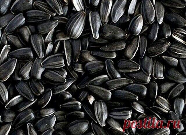 СЕМЕЧКИ... ОТ ГИПЕРТОНИИ