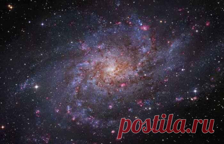 10 самых удивительных и странных объектов в нашей Галактике 10 самых удивительных и странных объектов в нашей Галактике
Достаточно часто случается, что астрономы сталкиваются космическими явлениями, которые современная наука пока объяснить не в состоянии.
В на...