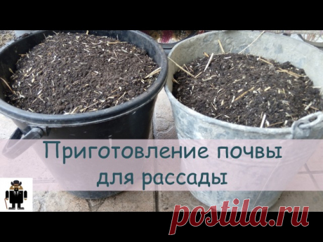 Маргарита Боркина