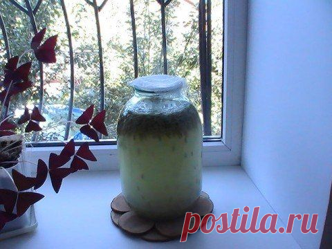 Полезный квас из овса без дрожжей