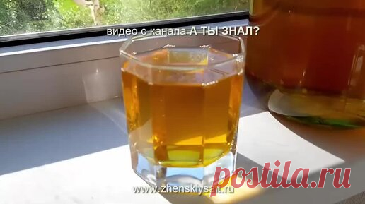 Домашнее яблочное вино. Пошаговый рецепт | Дача Для Души | Дзен