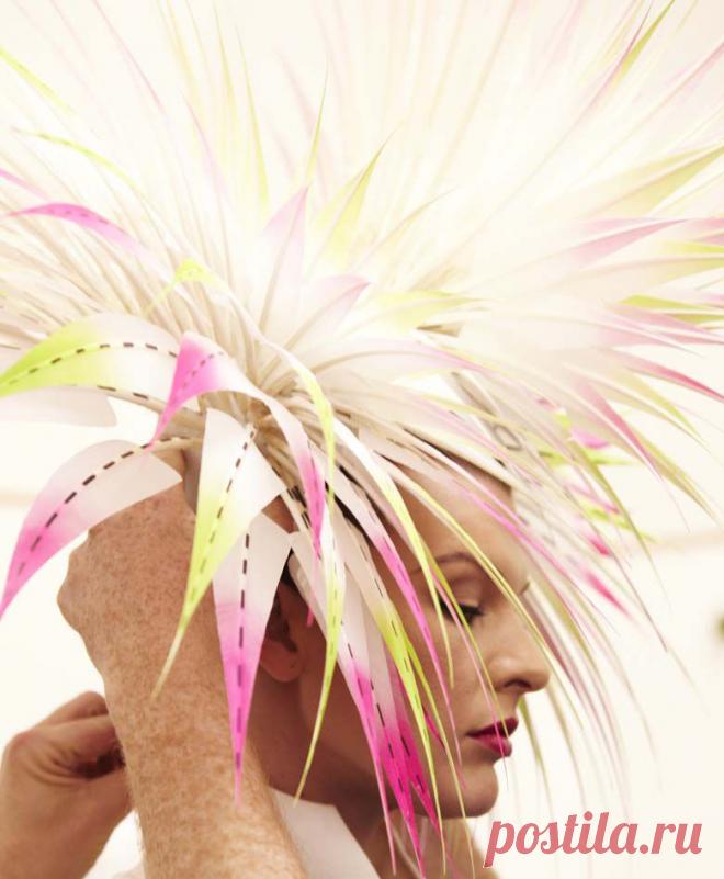 Шляпы Филиппа Трейси › Мир шляп Филиппа Трейси. Часть 2 | Я о Мире