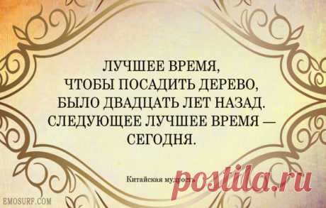 Высказывания китайских мудрецов