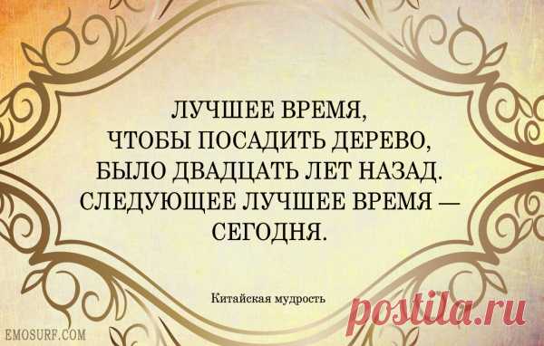 Высказывания китайских мудрецов