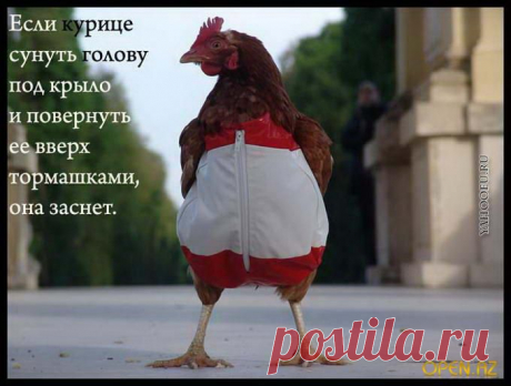 Интересное рядом. Факты из жизни и не только.