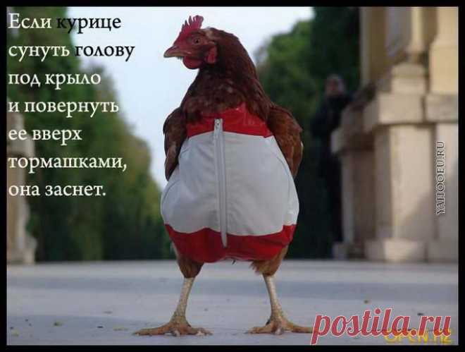 Интересное рядом. Факты из жизни и не только.