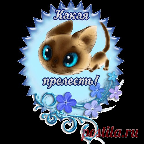 Диалоги