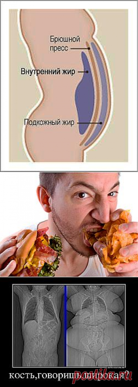(+1) тема - Жиросжигание — это не тренировки, а питание | Диеты со всего света