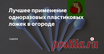 Лучшее применение одноразовых пластиковых ложек в огороде Пластиковые одноразовые ложки, казалось бы - обыкновенный мусор. Один раз использовали по прямому назначению и на помойку. Но не стоит этого делать. Для пластиковых ложек в огороде есть отличное применение.
Как я использую одноразовую посуду на участке?
Пластиковые ложки я покупаю в начале каждого дачного сезона. Но не для того чтобы ими есть, и не потому что мне лень помыть обычную посуду. А все