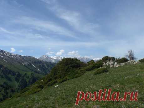 Panoramio - Untitled photo