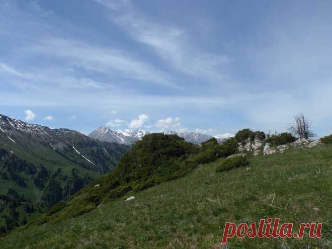 Panoramio - Untitled photo