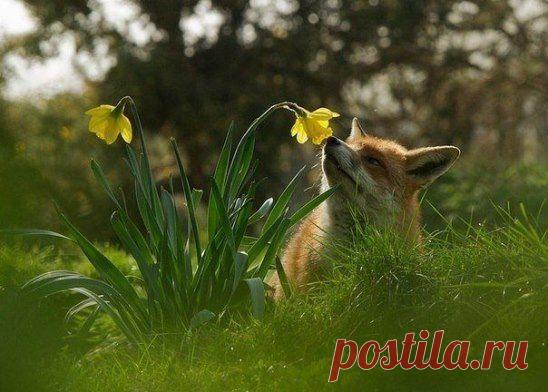 Счастье в простых вещах. Главное — научиться их замечать!