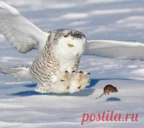Редкие кадры