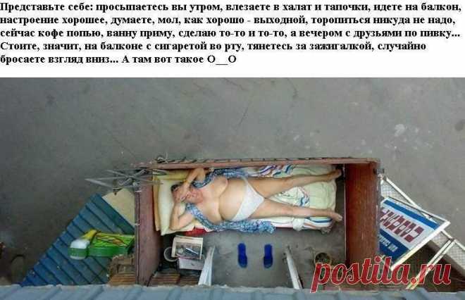 моня голдберг получил смс и обалдел - Поиск в Google