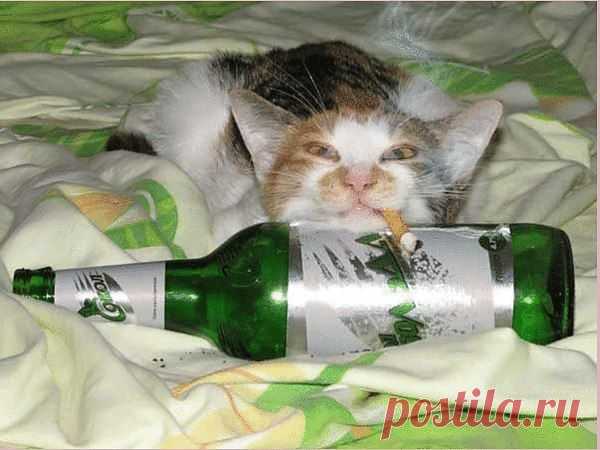 А МНЕ СУББОТА В КАЙФ.....