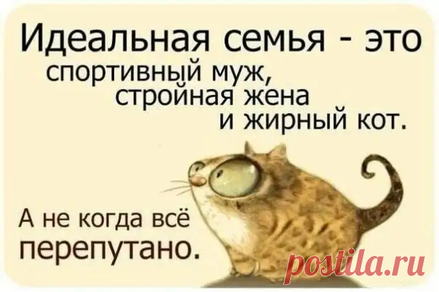 Прикольные фразочки в картинках - медиаплатформа МирТесен