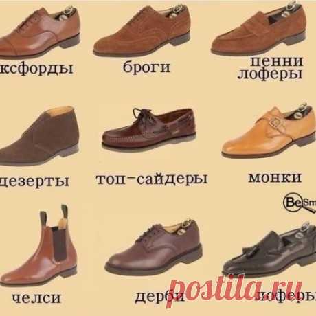 Виды мужских ботинок