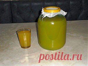 Квас Болотова: квас из чистотела. Как приготовить сыворотку Болотова | KoLLegaTV.ru