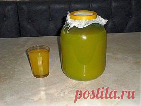 Квас Болотова: квас из чистотела. Как приготовить сыворотку Болотова | KoLLegaTV.ru