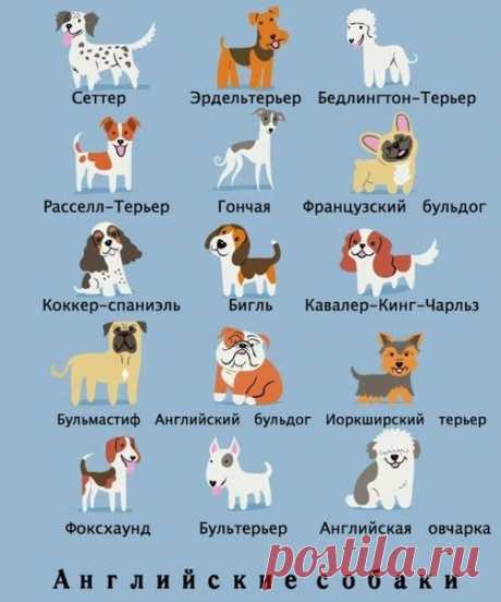 Редактировать описание