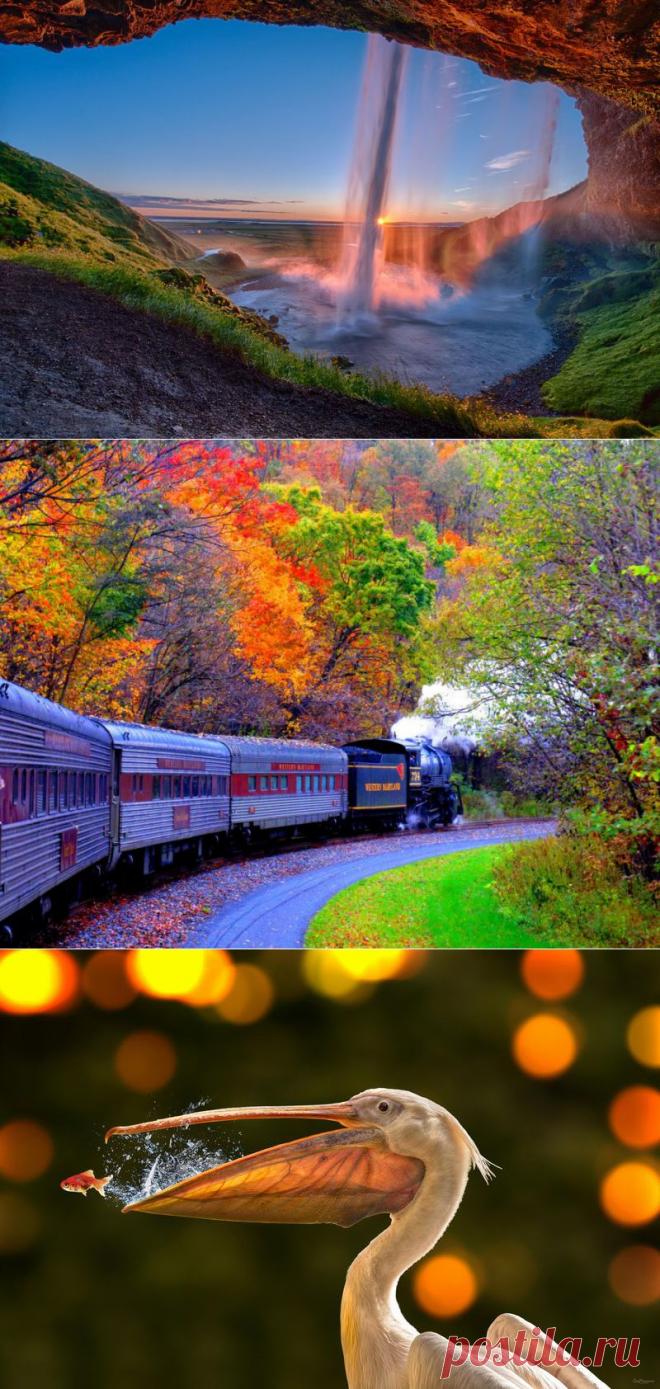 Удивительные фотографии со всего света