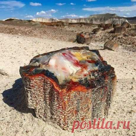 30 фотографий из серии Удивительное рядом