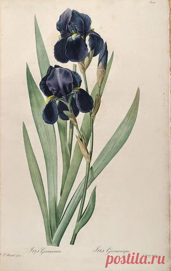 Найдено на сайте bumblebutton.blogspot.com.