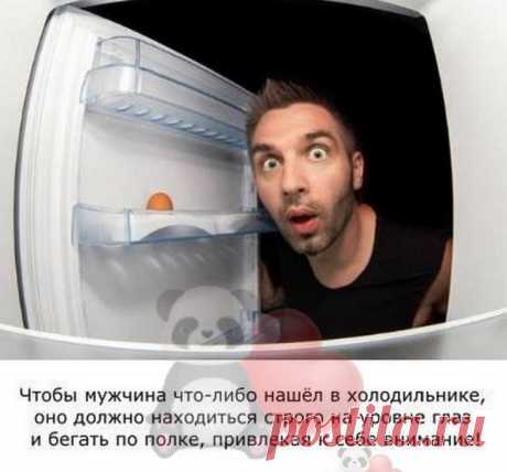 Интересная подборочка из 15 коротких смешных и жизненных рассказов из интернета