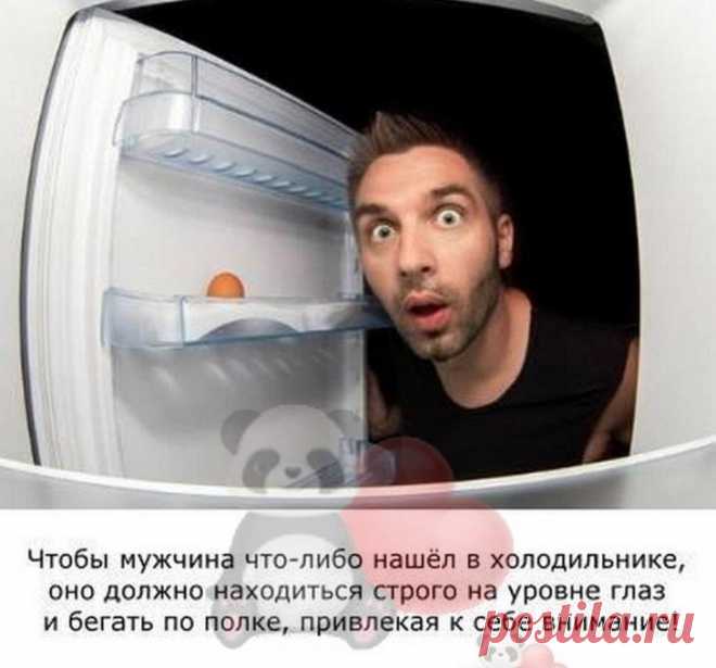 Интересная подборочка из 15 коротких смешных и жизненных рассказов из интернета