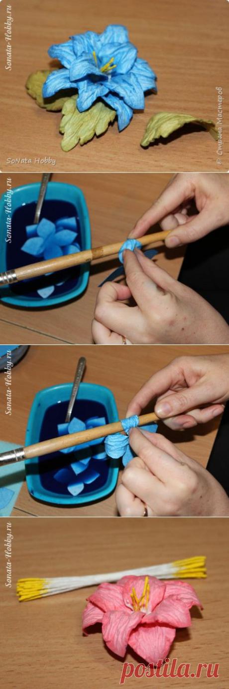 Цветы из акварельной бумаги | Страна Мастеров