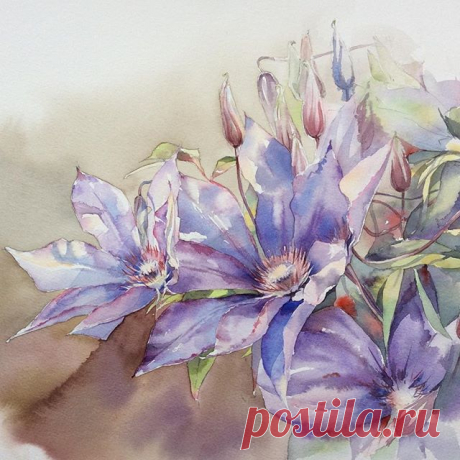 Клематис.  #рисую_все_что_вижу #art #artist #artwork #paint #painting #draw #drawing #watercolor #watercolorpainting #acuarela #aquarelle #aquarell #topcreator #art_we_inspire #process_of_creativity #art_dnevnik #inspiring_watercolors #waterblog #arts_help #skrien #clematis #clematite #fleurs #flowers #клематис #цветы #акварель #winsornewton #lanaquarelle