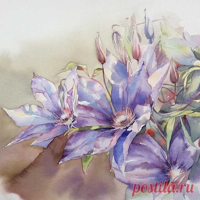 Клематис.  #рисую_все_что_вижу #art #artist #artwork #paint #painting #draw #drawing #watercolor #watercolorpainting #acuarela #aquarelle #aquarell #topcreator #art_we_inspire #process_of_creativity #art_dnevnik #inspiring_watercolors #waterblog #arts_help #skrien #clematis #clematite #fleurs #flowers #клематис #цветы #акварель #winsornewton #lanaquarelle