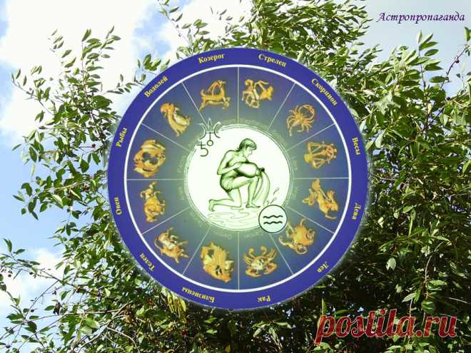 Гороскоп для Водолея с 3 по 31 июля 2023 

♒ ✨ Автор: астролог Нина Стрелкова. 
✧ Плутон еще в прошлом месяце покинул знак Водолея, и теперь Водолеи свободны от его давления. Но покоя их будет лишать Уран, находящийся в Тельце, квадратурном для Водолея знаке. А это определенная напряженность, проблемы в доме, семейных отношениях. Тем более в начале июля Уран конфликтует сначала с Марсом, потом с Венерой, а в последней декаде июля создает напряженный аспект с Меркурием...